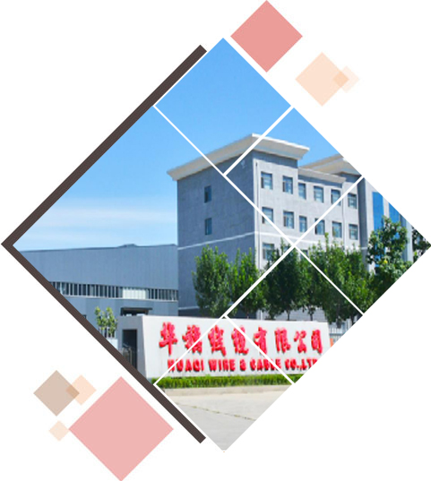 选择优势2