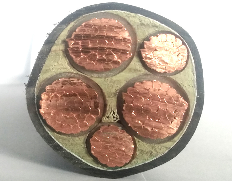 1750644781845144.jpg